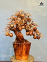 Cây Lựu Bonsai Gỗ Sưa Cao 70 Ngang 58 Sâu 20 (cm)