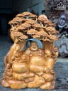Tượng Phật Di Lặc Tọa Gốc Tùng Gỗ Ngọc Am Cao 82 Ngang 63 Sâu 26 (cm)