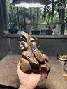 Tượng Bọ Ngựa Trang Trí Gỗ Trắc Cao 14,5 Ngang 22 Sâu 13 (cm)