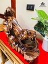 Tượng Báo Săn Mồi Gỗ Cẩm Cao 37 Ngang 60 Sâu 26 (cm)