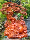 Tượng Phật Di Lặc Tam Phúc Gỗ Nu Hương Cao 75 Ngang 60 Sâu 40 (cm)