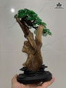 Cảnh Trầm Kiến Cao 25 (cm)