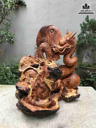 Tượng Nhất Long Quấn Ngọc Gỗ Sụn Hương  Cao 71 Ngang 62 Sâu 58 (cm)