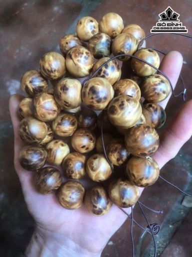 Vòng Tay Hạt Tròn Gỗ Bách Xanh