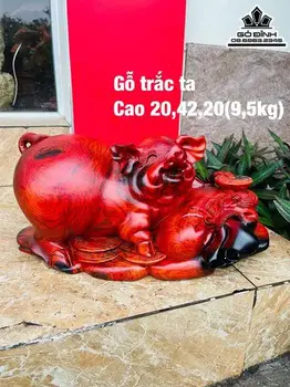 Tượng Heo Tài Lộc Gỗ Trắc Cao 20 Ngang 42 Sâu 20 (cm)