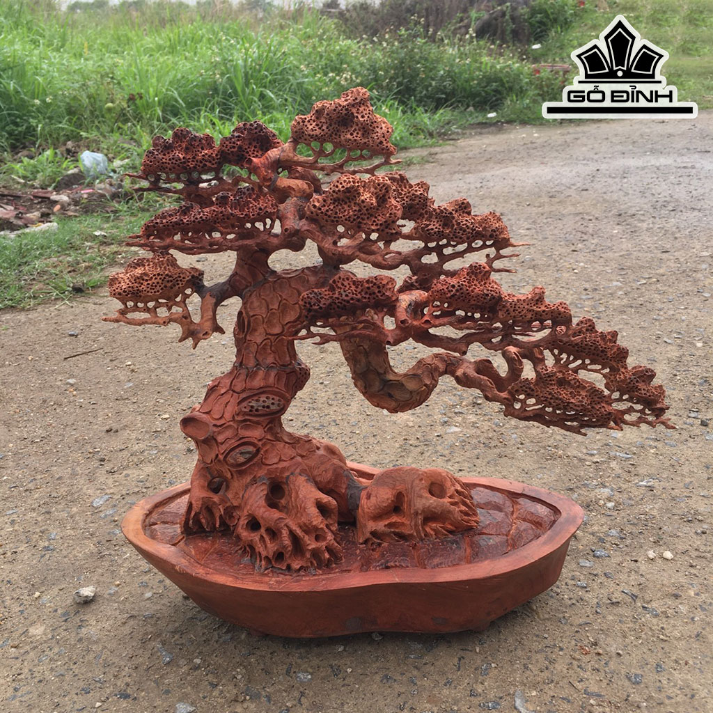 Cy Tng Bonsai G Hng Cao 37 Ngang 40 Su 19 (cm) | G nh