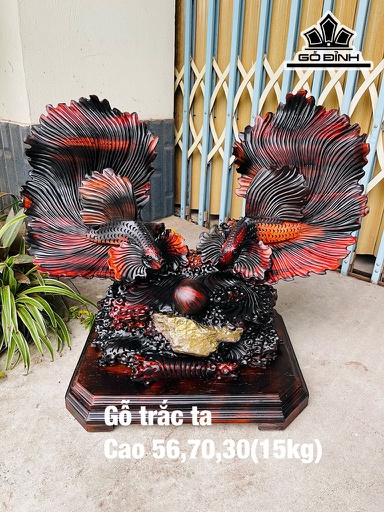 Tượng Cá Xiêm Gỗ Trắc Đen Đỏ Cao 56 Ngang 70 Sâu 30 (cm)