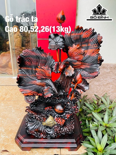 Tượng Cá Xiêm Gỗ Trắc Đen Đỏ Cao 80 Ngang 52 Sâu 26 (cm)