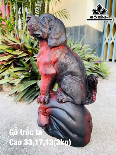 Tượng Chó Gỗ Trắc Cao 33 Ngang 17 Sâu 13 (cm)