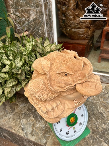 Tượng Thiềm Thừ Gỗ Ngọc Am Cao 28 Ngang 43 Sâu 43 (cm)