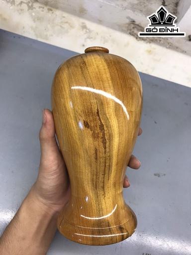 Chum Phú Quý Gỗ Bách Xanh Cao 20 Đường Kính 10 (cm)