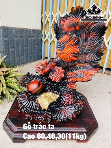 Tượng Cá Xiêm Gỗ Trắc Cao 60 Ngang 46 Sâu 30 (cm)