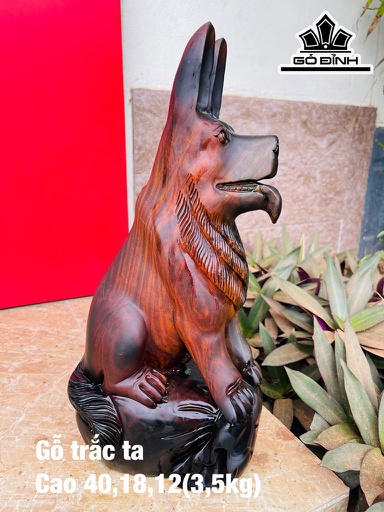 Tượng Chó Gỗ Trắc Cao 40 Ngang 18 Sâu 12 (cm)