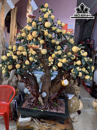 Cây Đào Đá Ngọc Hoàng Long Cao 138 Ngang 165 Sâu 135 (cm) 200kg