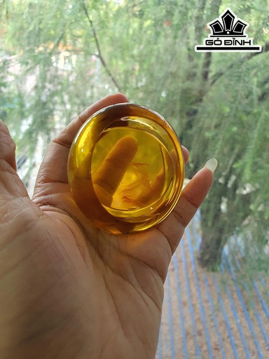 Vòng Tay Đá Hổ Phách Đường Kính 51 (mm)