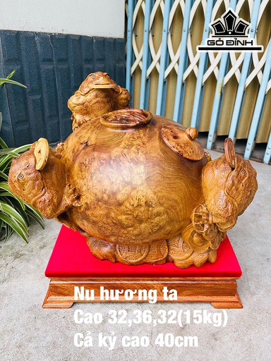 Tượng Tam Cóc Ngậm Tiền Gỗ Nu Hương Cao 32 Ngang 36 Sâu 32 (cm)