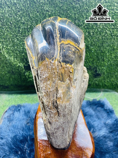 Tác Phẩm Gỗ Hóa Thạch Cao 48 (cm) 12kg