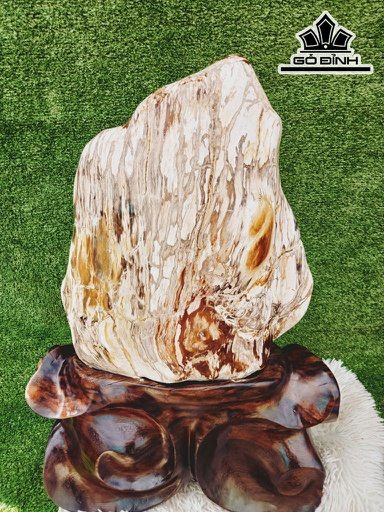 Tác Phẩm Gỗ Hóa Thạch Cao 70 Ngang 38 (cm) 40kg