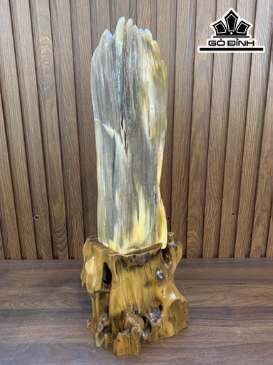Tác Phẩm Gỗ Hóa Thạch Cao 47 Ngang 20 Sâu 11 (cm) 3kg