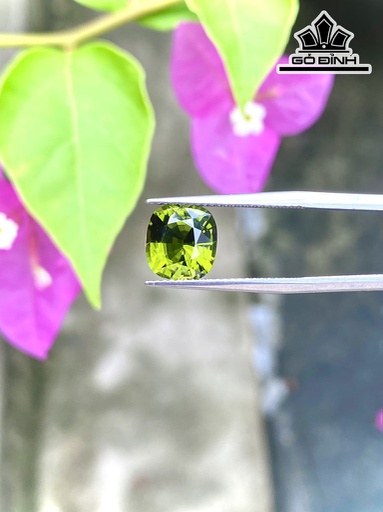 Viên Ngọc Đá Tourmaline Xanh Cao 9,2 Ngang 8,8, Sâu 5,8 (mm) 2,86cts