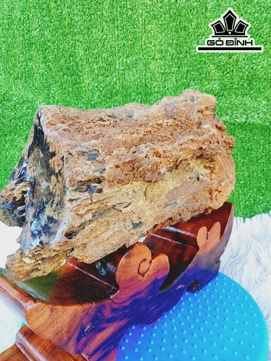 Tác Phẩm Gỗ Hóa Thạch Cao 28 Ngang 10 Sâu15 (cm)5kg