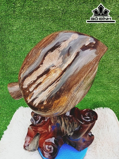 Tác Phẩm Đào Tiên Gỗ Hóa Thạch Cao 49 Ngang 30(cm) 21,5kg