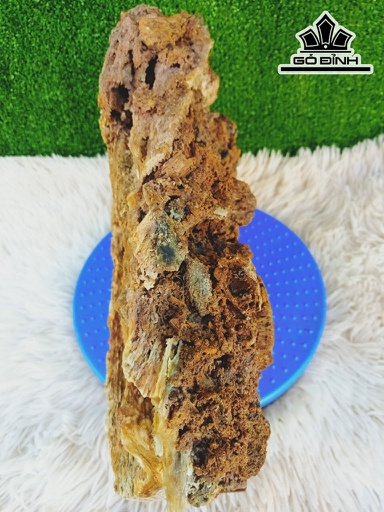 Tác Phẩm Gỗ Hóa Thạch Cao 32 Ngang 7 Sâu 32 (cm) 5kg
