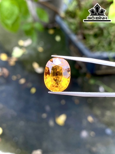 Viên Đá Citrine 9,4cts