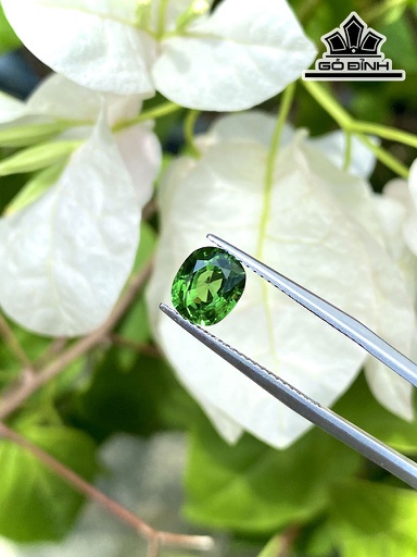 Viên Đá Tourmaline 1,51cts