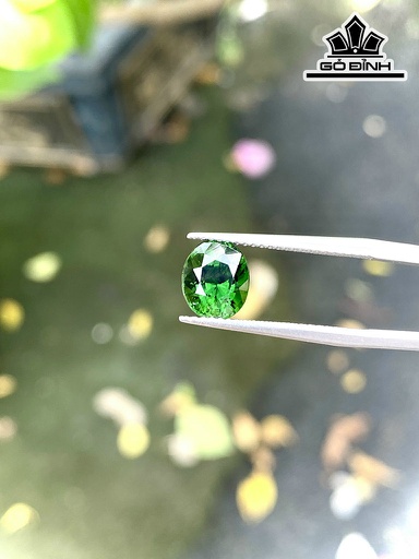 Viên Đá Tourmaline 1,85cts