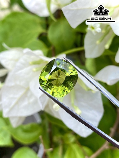 Viên Đá Tourmaline 9.25cts