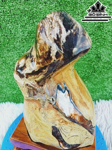 Tác Phẩm Gỗ Hóa Thạch Cao 27 Ngang 15 (cm) 4,2kg