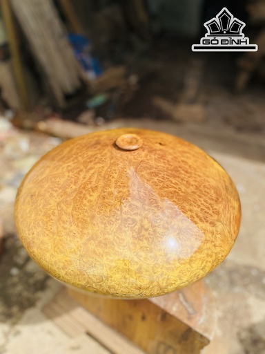 Chum Phú Quý Gỗ Nu Kháo Cao 18 Đường Kính 40 (cm)