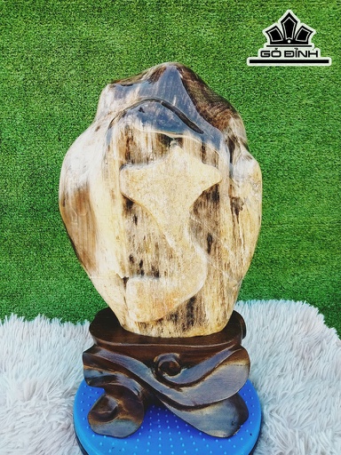 Tác Phẩm Gỗ Hóa Thạch Cao 41 Ngang 24 (cm) 13kg