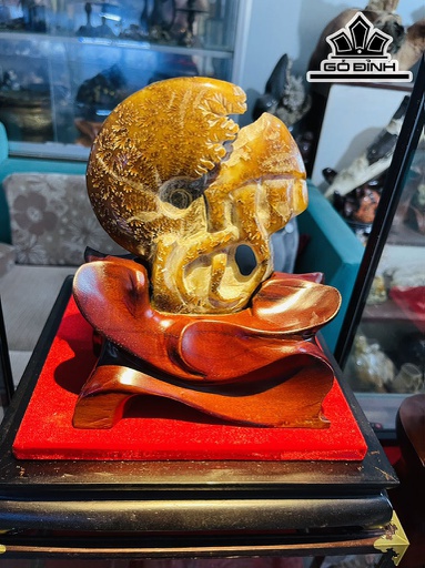 Ốc Anh Vũ Hóa Thạch Cao 22 (cm) 1,5kg