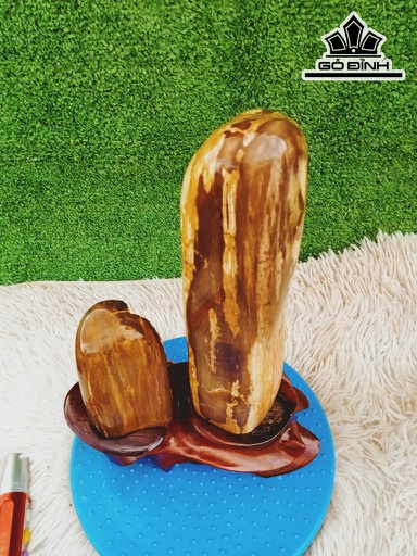 Tác Phẩm Gỗ Hóa Thạch Cao 31 Ngang 17 (cm) 3,6kg