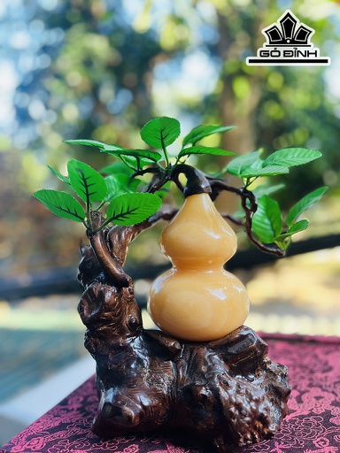 Cây Đá Ngọc Hoàng Long Cao 19 Ngang 30 (cm) 2,2kg