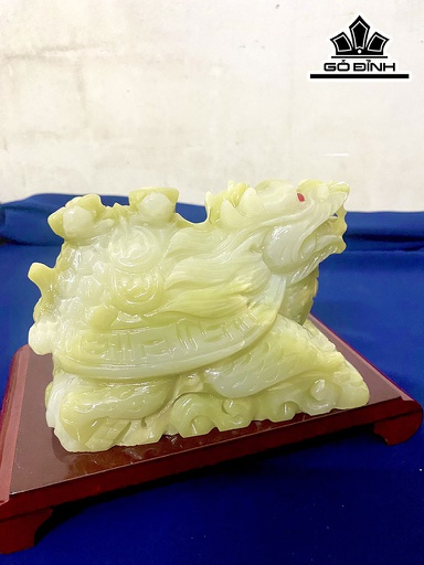 Long Quy Đá Pakistan Cao 15 (cm)