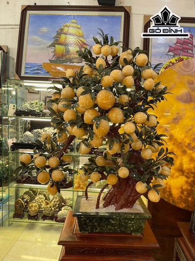 Cây Đào Đá Ngọc Hoàng Long Cao 128 (cm)