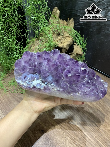 Búi Tinh Thể Đá Thạch Anh Tím Cao 21 Ngang 10 Sâu 6,5 (cm) 2,05kg