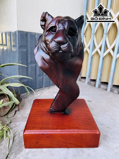 Đầu Hổ Phong Thủy Gỗ Trắc Cao 41 Ngang 20 Sâu 16 (cm)