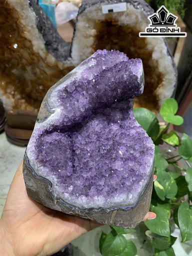 Tinh Thể Đá Thạch Anh Tím Cao 13,6 Ngang 10 Sâu 11 (cm) 1,8kg