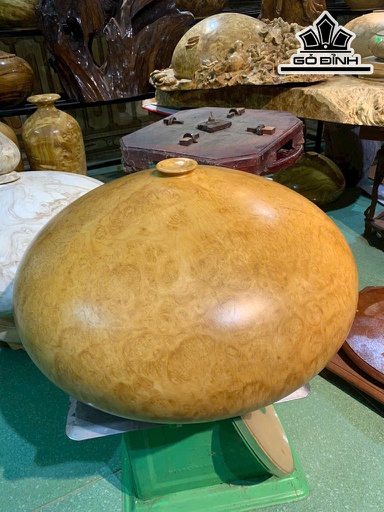 Chum Phú Quý Gỗ Nu Kháo Đường Kính 50 Cao 28 (cm)