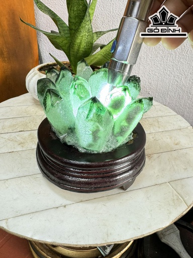 Bụi Tinh Thể Đá Thạch Anh Xanh Cao 14 Ngang 14 (cm) 1,5kg