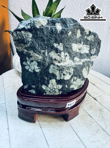 Tác Phẩm Hoa Cúc Hóa Thạch Cao 18 Ngang 17 (cm) 3,8kg