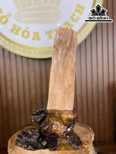 Tác Phẩm Gỗ Hóa Thạch Cao 48 Ngang 32 (cm) 4,7kg