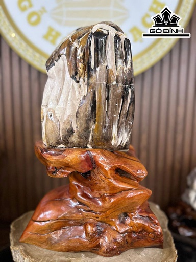 Tác Phẩm Gỗ Hóa Thạch Cao 48 Ngang 32 (cm) 11,5kg