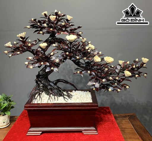 Chậu Hoa Phù Dung Bonsai Thác Đổ Gỗ Trắc Cao 83 Ngang 100 Sâu 43 (cm)