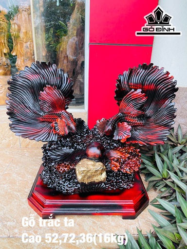 Tượng Cá Xiêm Đôi Gỗ Trắc Cao 52 Ngang 72 Sâu 36 (cm)