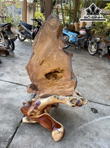 Tác Phẩm Gốc Cây Cổ Thụ Hóa Thạch Cao 104 Ngang 74 Sâu 45 (cm) 100kg